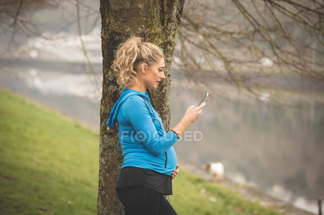 Bella donna incinta che utilizza il telefono cellulare nel parco — Foto stock