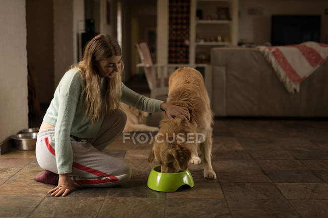 Adolescente menina alimentando seu cão em casa — Fotografia de Stock