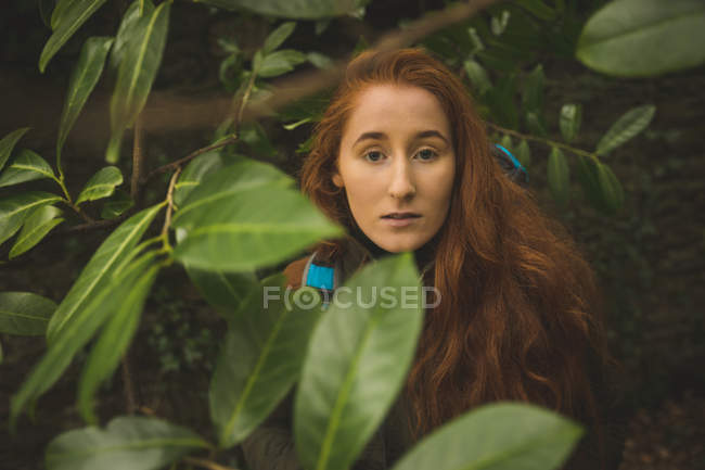 Hermosa excursionista femenina mirando a través de hojas verdes en el bosque - foto de stock