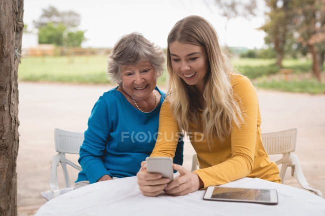 Бабуся і бабуся використовують смартфон на задньому дворі — стокове фото