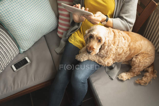 Baixa seção de mulher usando tablet digital com cão no sofá na sala de estar em casa — Fotografia de Stock