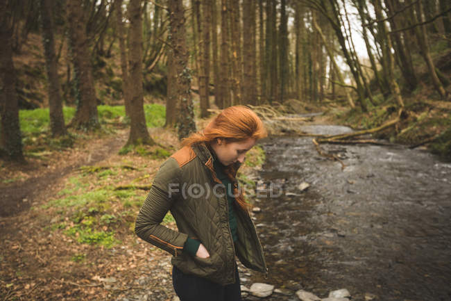 Schöne Wanderin mit Blick auf den flachen Fluss im Wald — Stockfoto