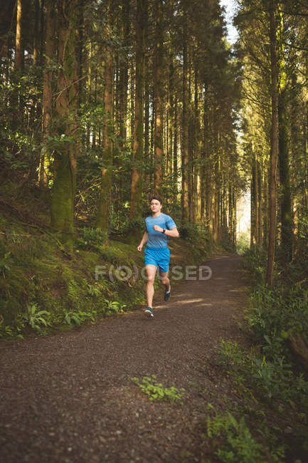 Jeune homme jogging dans la forêt — Photo de stock