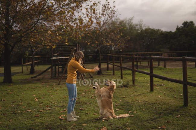 Teenage girl playing with her dog in the ranch — Stock Photo