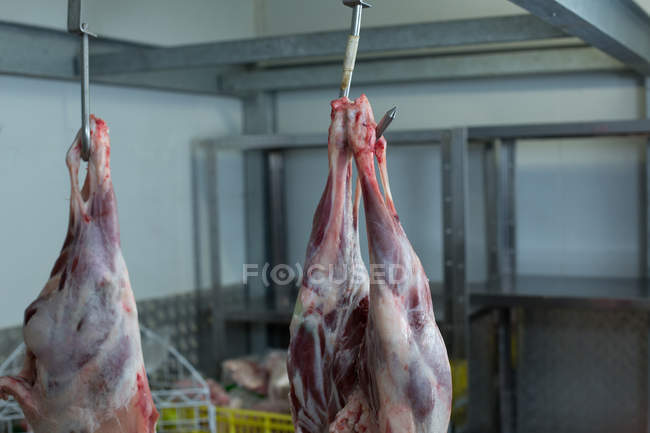 Carnes colgando de gancho en carnicería - foto de stock