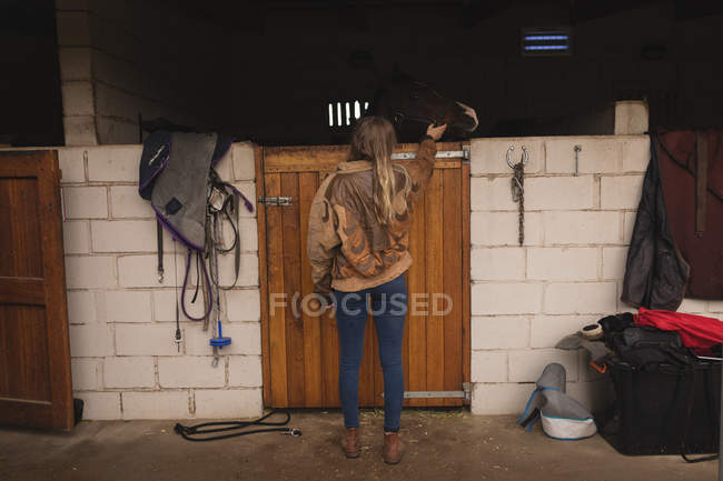 Vista trasera de una chica acariciando un caballo en el rancho - foto de stock