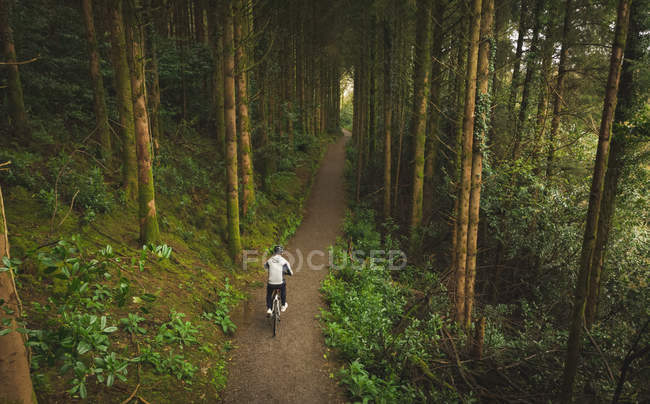 Aerial of cyclist riding bicycle through lush forest — Stock Photo