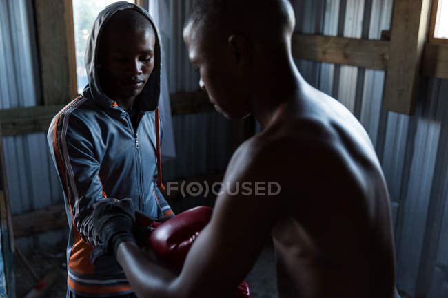 Entrenador que ayuda al boxeador masculino a usar guantes de boxeo en el gimnasio - foto de stock