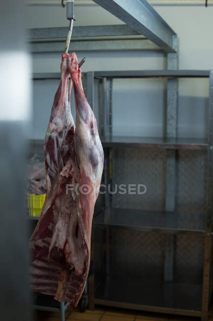 Meat hanging on hook in butcher shop — Stock Photo