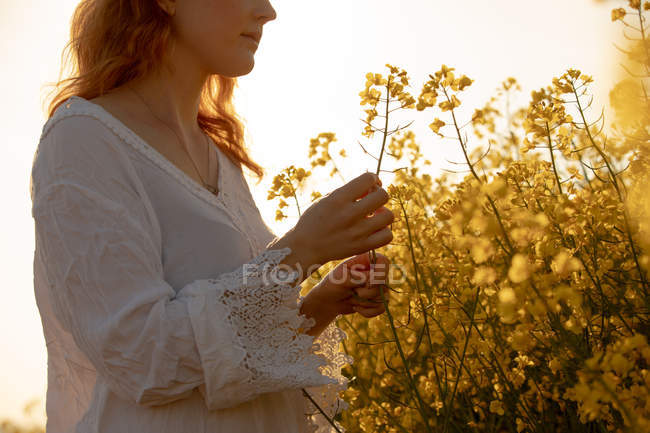 Frau berührt Getreide an einem sonnigen Tag im Senffeld — Stockfoto