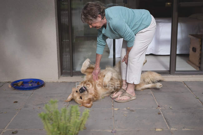Donna anziana che gioca con un cane a casa — Foto stock
