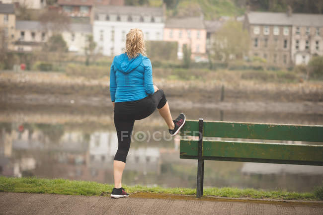 Rear view of pregnant woman standing in the park — Stock Photo