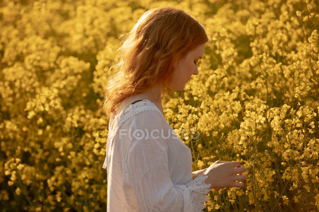 Frau berührt Getreide an einem sonnigen Tag im Senffeld — Stockfoto