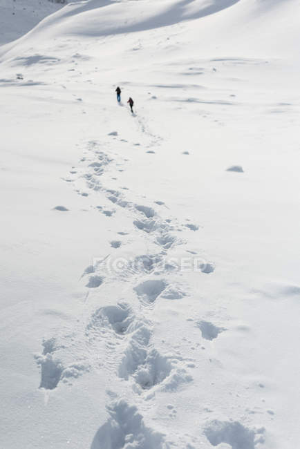 Coppia che cammina su una montagna innevata durante l'inverno — Foto stock