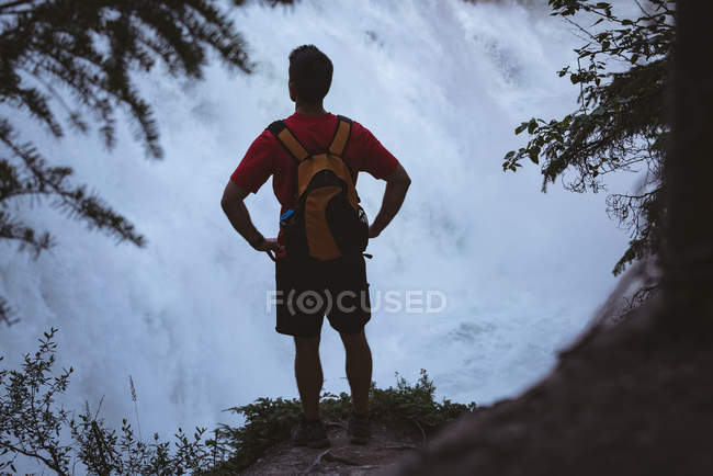 Vista posteriore dell'uomo in piedi con le mani sul fianco vicino alla cascata — Foto stock