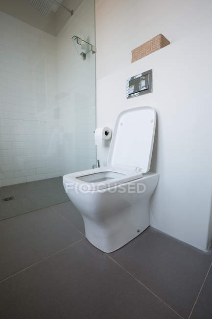 Интерьер современного туалета дома — стоковое фото