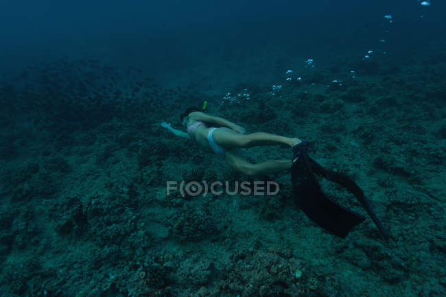 Mujer buceando bajo el agua en el mar sobre el fondo rocoso - foto de stock