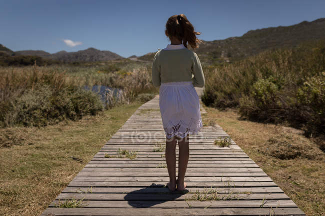 Вид ззаду дівчини, що стоїть на дріб'язковому пляжі — стокове фото