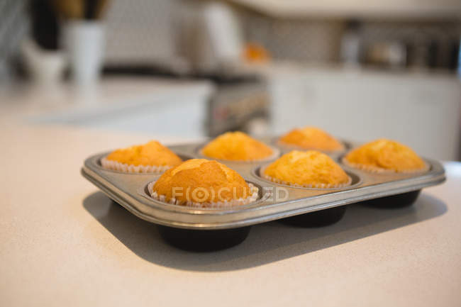 Close-up of muffins in baking tray at home — Stock Photo