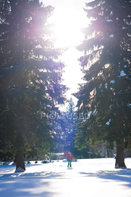 Donna che cammina su un paesaggio innevato in una giornata di sole — Foto stock