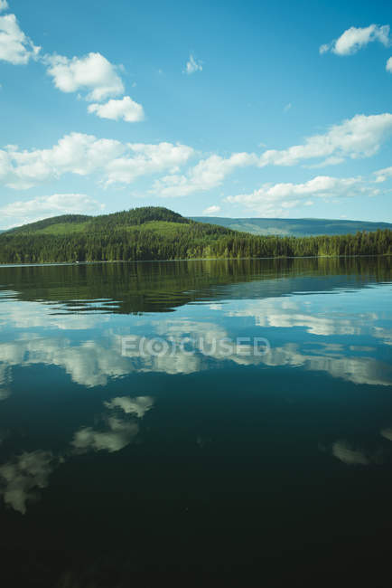 Вид на озеро в солнечный день — стоковое фото