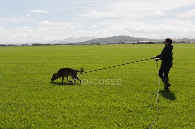 Entraîneur dressant le chien de berger sur le terrain par une journée ensoleillée — Photo de stock
