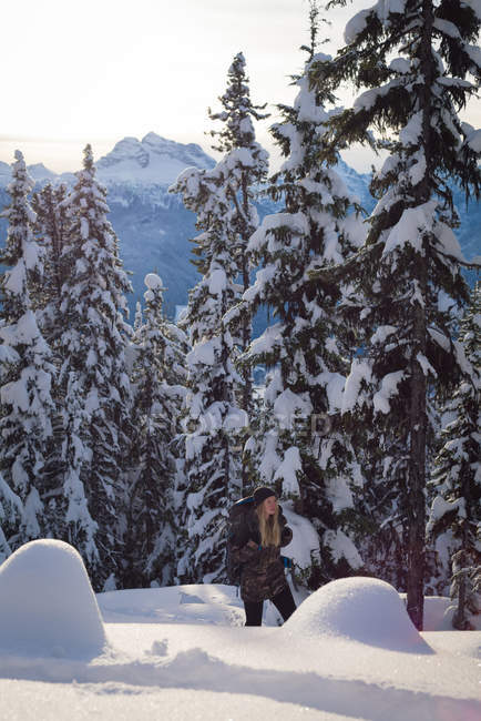 Mujer caminando sobre un paisaje cubierto de nieve en un bosque de pinos - foto de stock