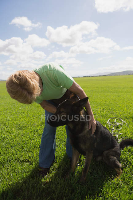 Жінка погладжує собаку в полі в сонячний день — стокове фото