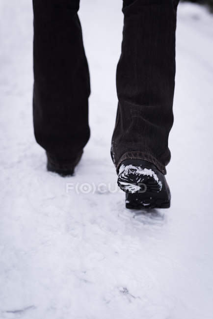Sección baja del hombre caminando en el camino cubierto de nieve . - foto de stock