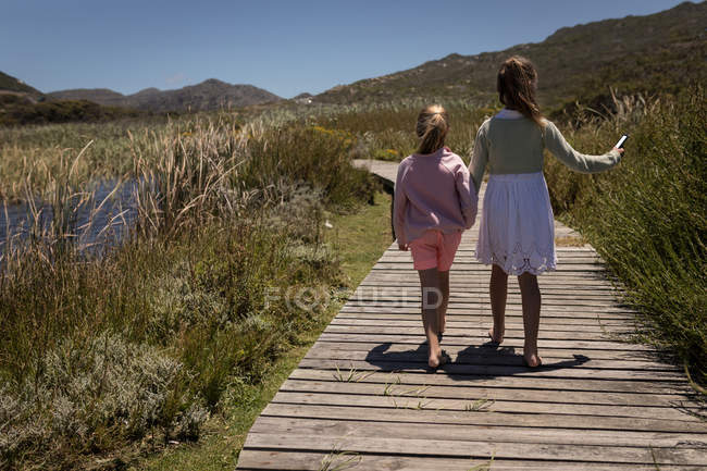 Вид сзади братьев и сестер, гуляющих с мобильным телефоном на пристани — стоковое фото