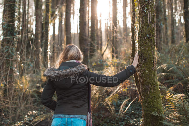 Rückansicht einer blonden Frau, die sich im Wald an einen Baum lehnt. — Stockfoto