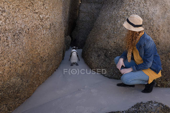 Женщина приседает и смотрит на пингвина на пляже — стоковое фото