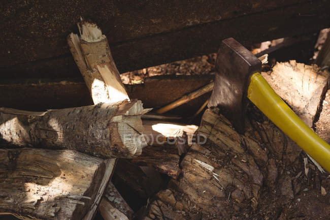 Hacha en tronco de árbol con las paces de bosques en el jardín - foto de stock