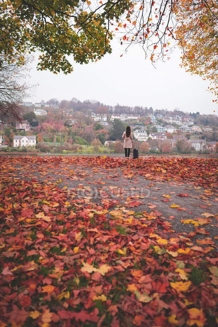 Geschäftsfrau mit Gepäck steht im Herbst auf der Straße — Stockfoto