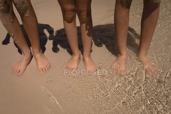 Frères et sœurs debout dans l'eau à la plage par une journée ensoleillée — Photo de stock