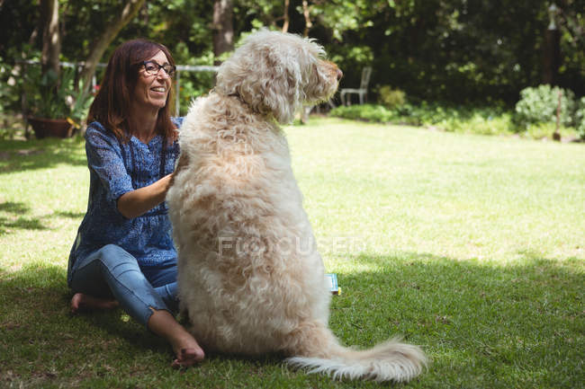 Woman playing her dog in garden on a sunny day — Stock Photo