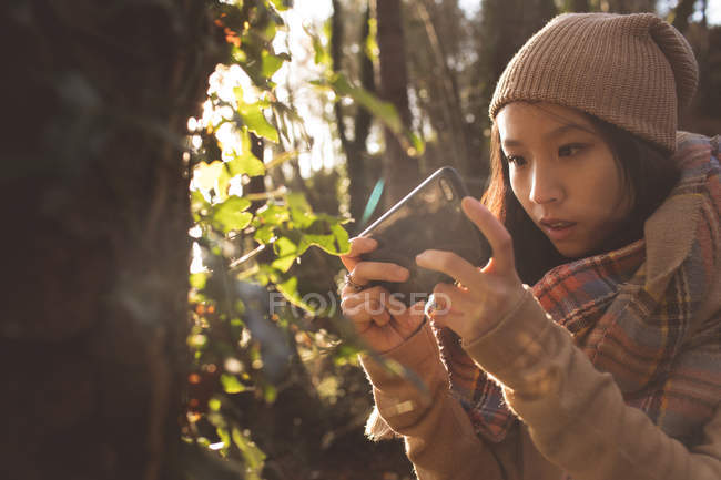 Frau benutzte Handy im Wald — Stockfoto