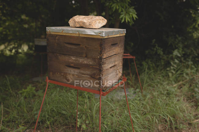 Gros plan de la boîte de ruche dans la ferme — Photo de stock