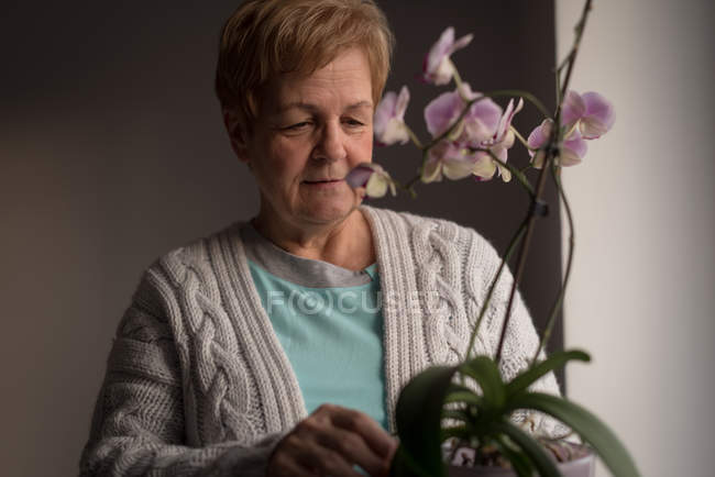 Активна старша жінка дивиться на рослину — стокове фото