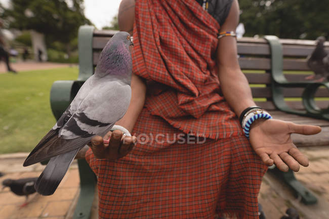 Pombo empoleirado em maasai mão homem no parque — Fotografia de Stock