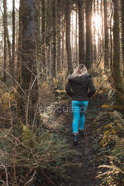Visão traseira da mulher loira andando na floresta . — Fotografia de Stock