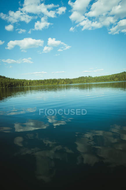 Vista del lago en un día soleado - foto de stock