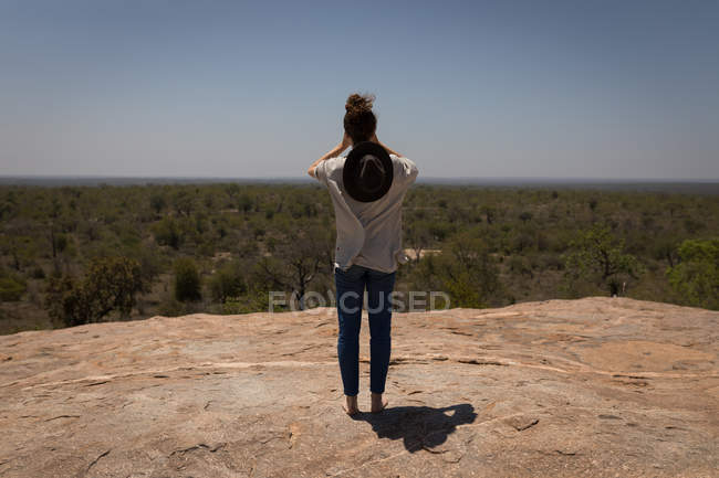Vue arrière de la femme regardant les prairies par une journée ensoleillée — Photo de stock