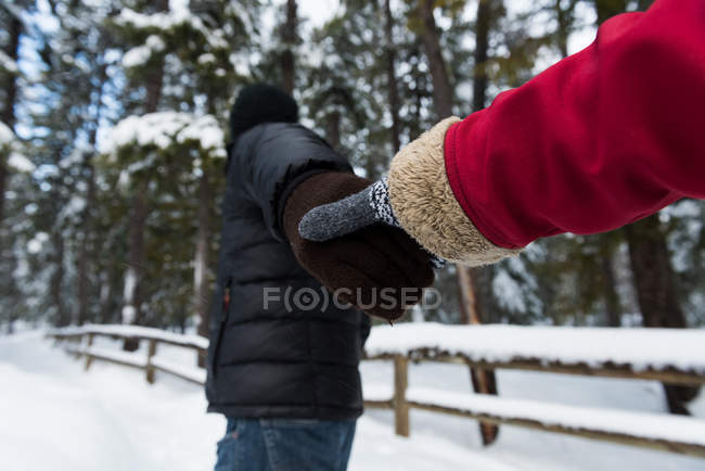 Пара держащихся за руки в снежном лесу зимой — стоковое фото