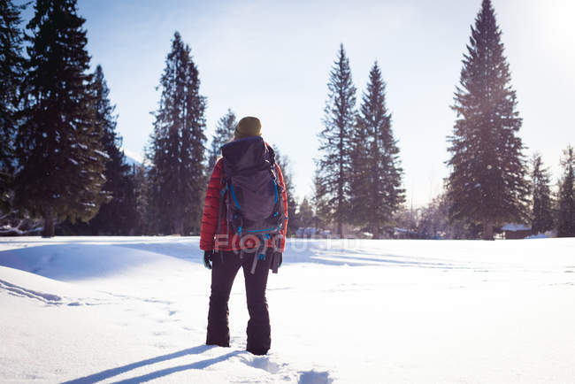 Visão traseira da mulher andando na paisagem nevada — Fotografia de Stock
