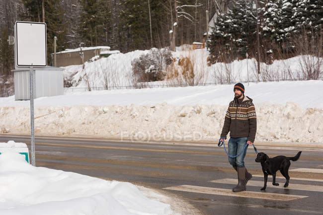 Человек гуляет с собакой по улице зимой . — стоковое фото