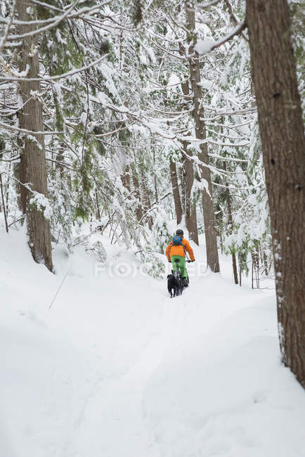 Man riding bicycle with dog in snowy forest. — Stock Photo