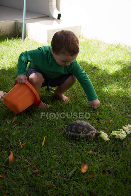 Маленький хлопчик грає з черепахою в саду — стокове фото