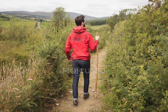 Вид сзади на человека, идущего с палкой возле деревни — стоковое фото