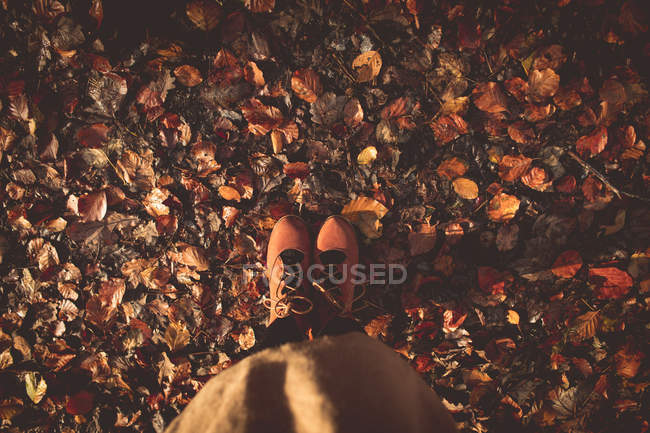 Накладные расходы женщины, стоящей на сухих листьях осенью — стоковое фото